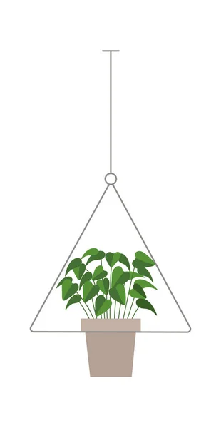 Planta Maceta Planta Verde Estilo Dibujos Animados Ilustración Stock Vectorial — Vector de stock