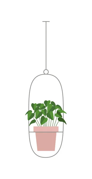 Plante Pot Plante Verte Style Dessin Animé Illustration Vectorielle — Image vectorielle