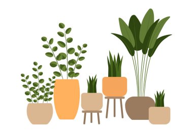 Saksıdaki ev bitkileri. Ev bitkileri izole edilmiş. Moda sarılma tarzı, kentsel orman dekorasyonu. El çizimi. Koleksiyonu hazırla. Yeşil, mavi, pembe, kahverengi, bej renkli pastel renkler. Poster afişini yazdır