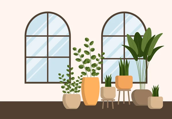 Ensemble Plantes Mignonnes Dans Des Pots Planteurs Cactus Feuilles Tropicales — Image vectorielle