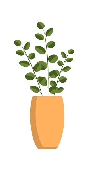 家庭植物和花盆 花盆呈扁平型 描述绿色植物的病媒群 — 图库矢量图片