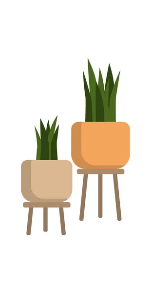 Plantas Casa Vaso Plantas Houseplants Isolado Ilustração Vetorial —  Vetores de Stock