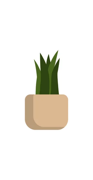 鉢物の観葉植物 家庭やインテリアのための緑の自然装飾 ベクターイラスト — ストックベクタ