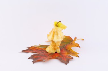 Kırıntıları elma