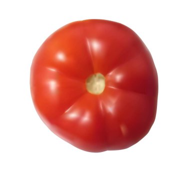 Domates üstü görünümü beyaz arkaplan fotorealistik vektör illüstrasyon ağında izole edildi