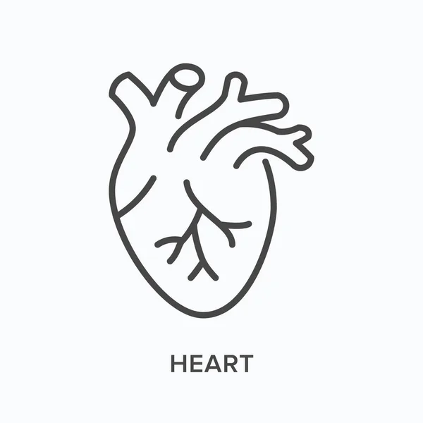 Icône de ligne plate coeur. Illustration vectorielle du contour de l'organe cardio. Pictogramme linéaire mince noir pour le système cardiovasculaire — Image vectorielle