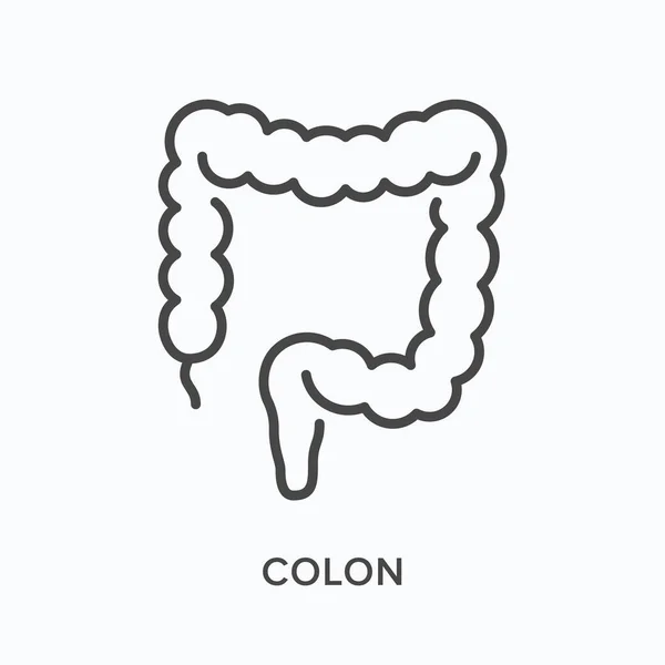 Icône de ligne plate du côlon. Illustration vectorielle des contours intestinaux. Pictogramme linéaire mince noir pour organe gastro-intestinal interne — Image vectorielle