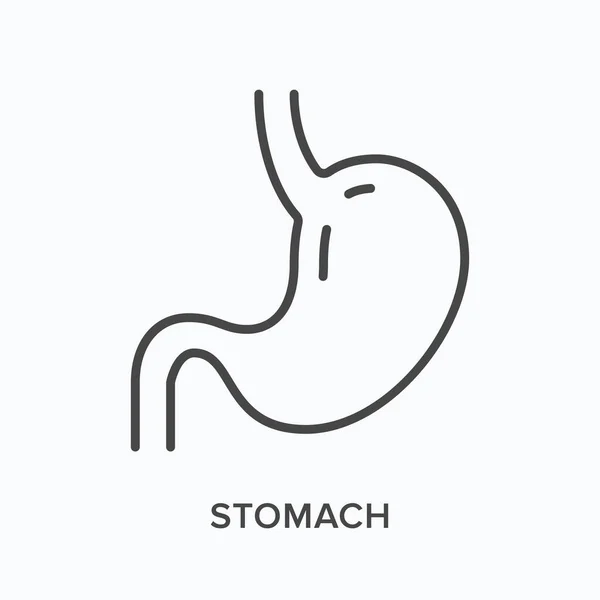 Icono de línea plana del estómago. Esquema vectorial ilustración gástrica. Pictograma lineal delgado negro para órgano digestivo interno — Vector de stock