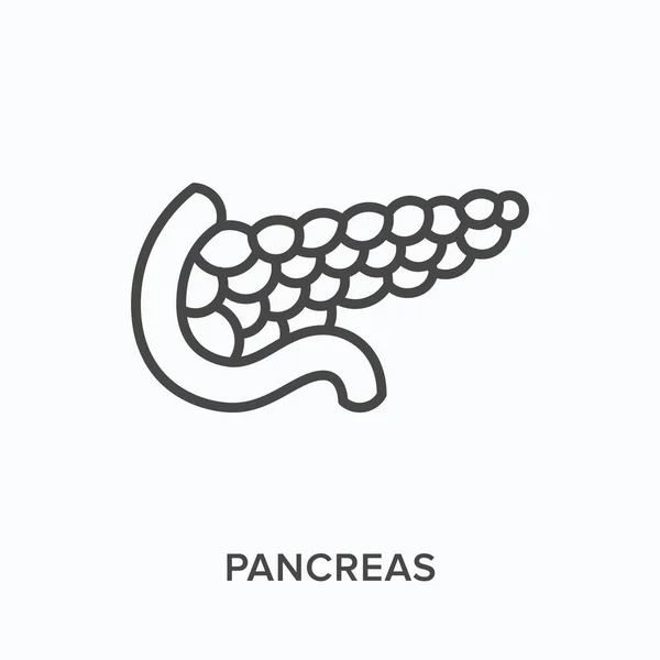 Pancréas icône de ligne plate. Illustration vectorielle des contours de l'organe interne. Pictogramme linéaire mince noir pour le système digestif — Image vectorielle