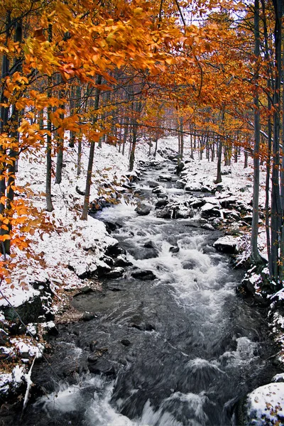 Colored wreath of branches and unburned autumn leaves over a cold forest river and white snow on its banks.
