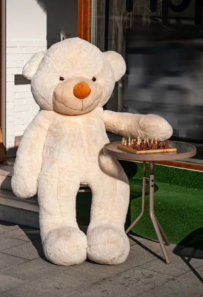 Büyük usta. Dev oyuncak ayı, beyaz, satranç oynamayı teklif ediyor..