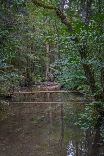 Bonlieu Frankrijk 2020 Lake District Watervalweg — Stockfoto