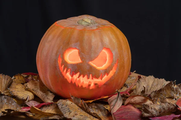 Paris France 2020 Halloween Pumpkin Fallen Leaves — Stock Photo, Image