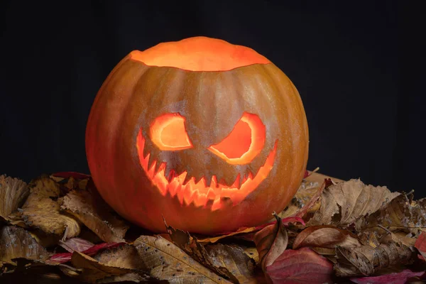 Paris France 2020 Halloween Pumpkin Fallen Leaves — Stock Photo, Image