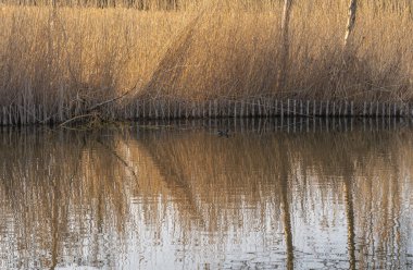 Gennevilliers, Fransa - 02 27 2021: Chanteraines Parkı. Bahar mevsiminde doğa çiçek açar. Yapay gölet manzarası