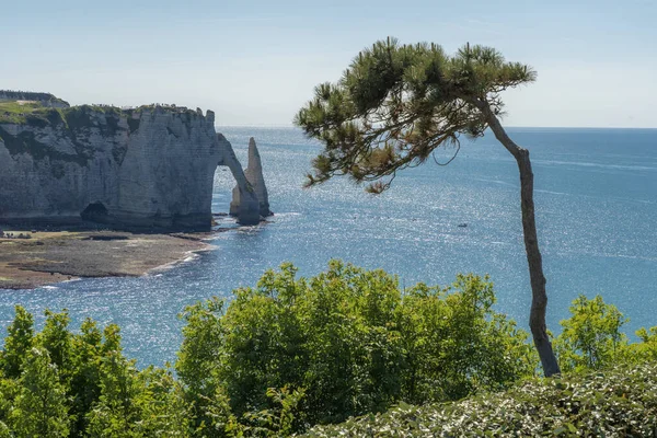 Etretat Γαλλία 2019 Πανοραμική Θέα Των Βράχων Της — Φωτογραφία Αρχείου