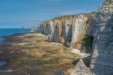 Etretat, Fransa - 05 31 2019: Et uçurumlarının panoramik görünümü