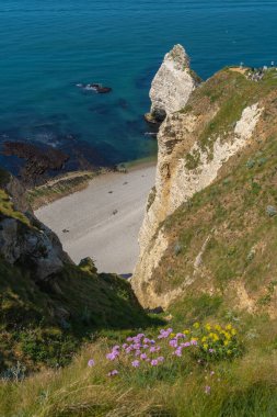 Etretat, Fransa - 05 31 2019: Et uçurumlarının panoramik görünümü