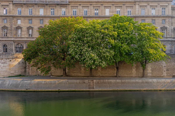 Parijs Frankrijk 2021 Bomen Met Rode Witte Bloemen Langs Kades — Stockfoto
