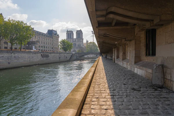 Paris France 2021 Girl Her Dog Walking Quai Seine Notre — Φωτογραφία Αρχείου