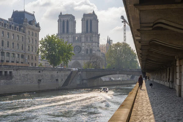 Paris Fransa 2021 Bir Kız Köpeği Notre Dame Katedrali Ile — Stok fotoğraf