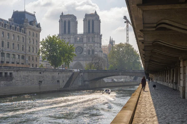 Paris França 2021 Uma Menina Seu Cachorro Caminhando Longo Quai — Fotografia de Stock