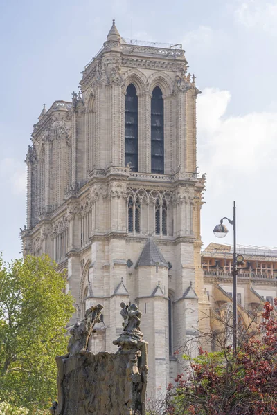 Paris France 2021 View Notre Dame Square Rene Viviani Stele — Stock Photo, Image