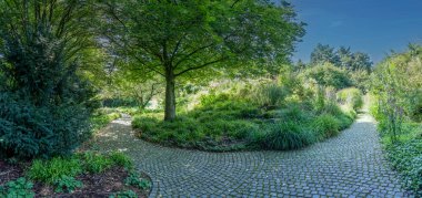 Doğa yaz mevsiminde çiçek açar. Japon parkındaki asfalt bir yol manzarası