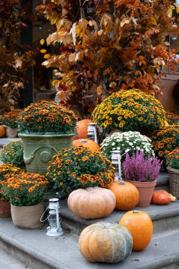 Paris, Fransa - 10: 19: 2025 Cadılar Bayramı gugukkuşları natüralite. Balkabakları, kelebekler, kabaklar, fenerler ve çiçekler taş bir merdivende