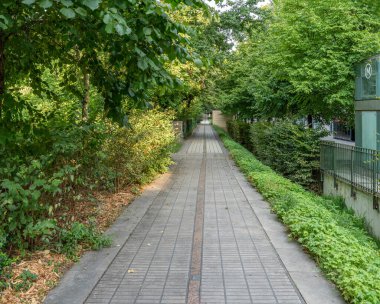Paris, Fransa - 08: 15 2025: Bercy Park. Ağaçlarla çevrili panoramik bir ara sokak manzarası