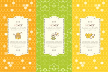 Vector design layouts - natural honey collection clipart