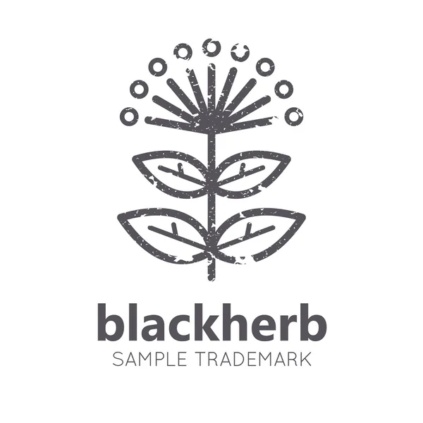 Emblema agrícola con hierba medicinal — Vector de stock