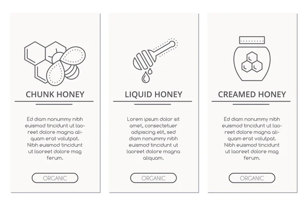 Biologische honing de kaartsjabloon van het ontwerp met dunne lile stijl illustratie van soorten honing — Stockvector