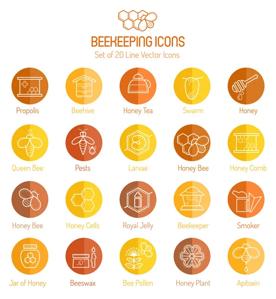 Conjunto de mel delineado e ícones vetoriais de apicultura —  Vetores de Stock