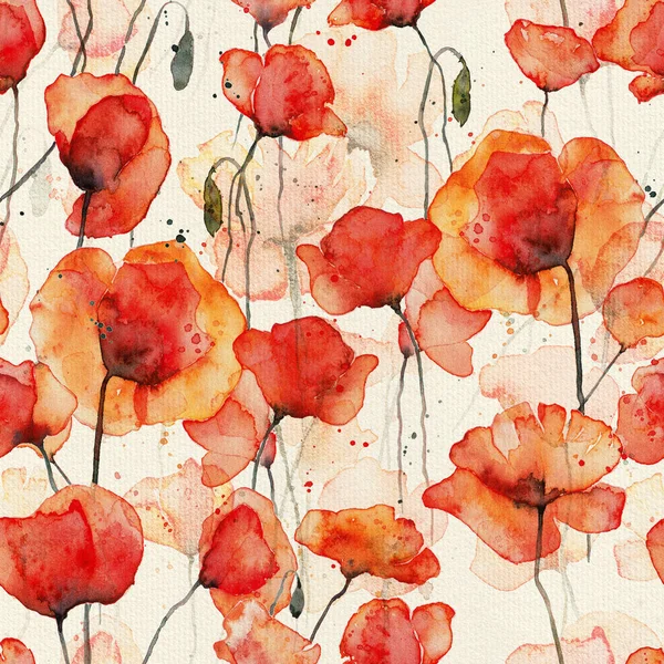 Red poppies watercolor illustration