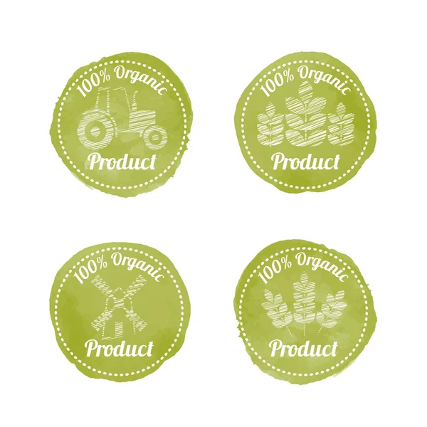 Set de 4 insignias AGRICULTURALES verdes para productos ecológicos — Vector de stock