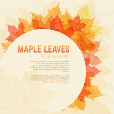 Akçaağaç yaprakları arka plan metin için yer ile doymuş.