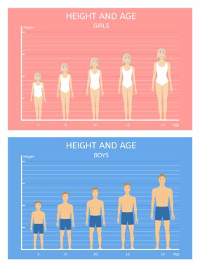 Height and age clipart