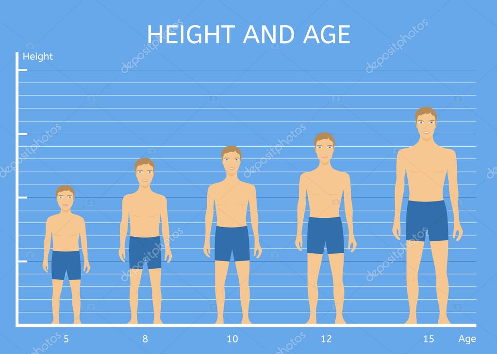 Altura Y Edad Chicos Vector De Stock Moremar 124556866