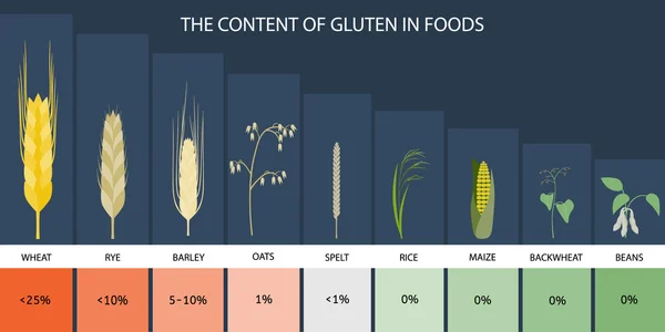 De inhoud van gluten in voedsel. — Stockvector