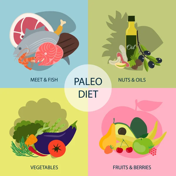 Paleo diet. Four groups of products — Stock Vector