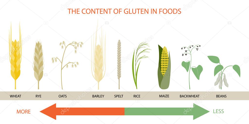 The content of gluten in foods.