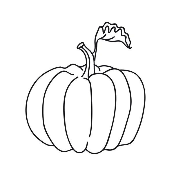 Calabaza de otoño en el perfil de stule — Vector de stock