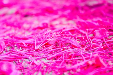 Pembe Gül apple çiçek