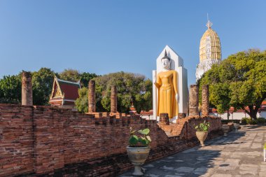 Buda heykeli Wat Phrasimahathat içinde