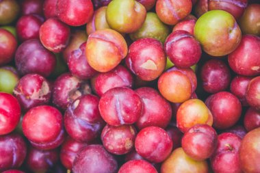 Erik görünümünü yakın çekim