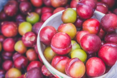 Erik görünümünü yakın çekim