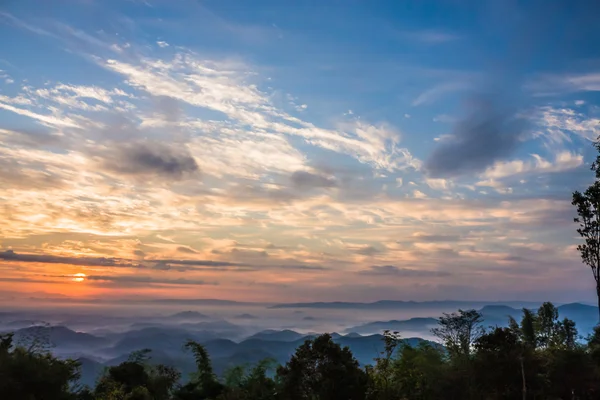 Escena de luz de la mañana — Foto de Stock