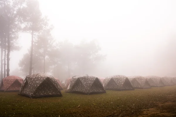 Acampar bajo la niebla del mar — Foto de Stock