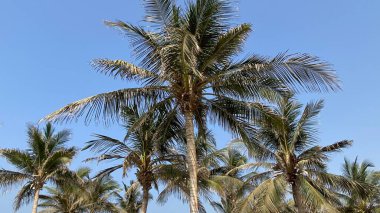 Suudi Arabistan 'da Jeddah Corniche